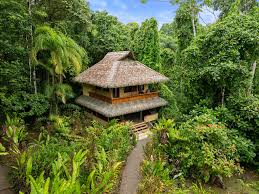 Copa de Árbol Beach & Rainforest Resort