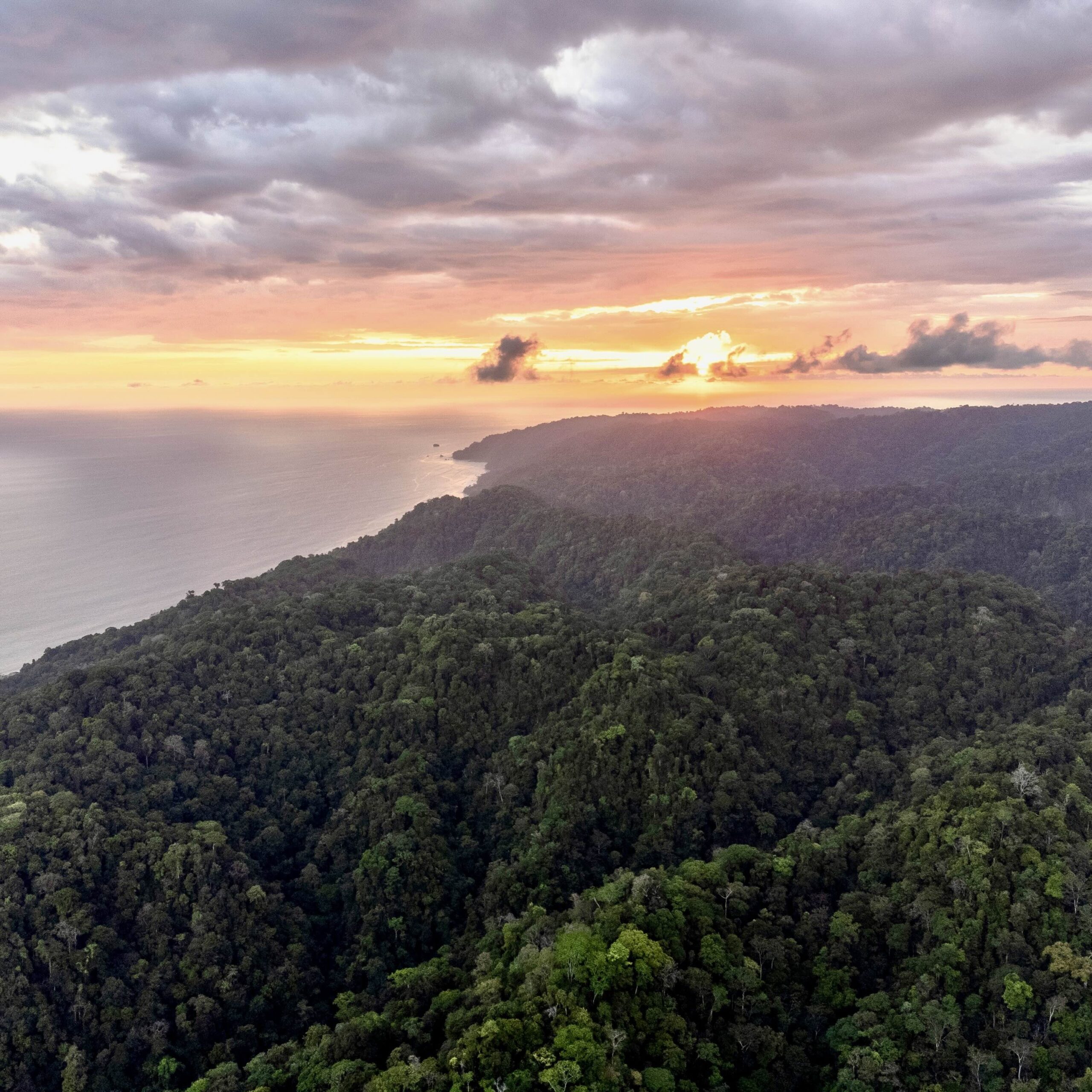 Copa de Árbol Beach & Rainforest Resort